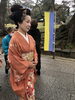 「日本髪」