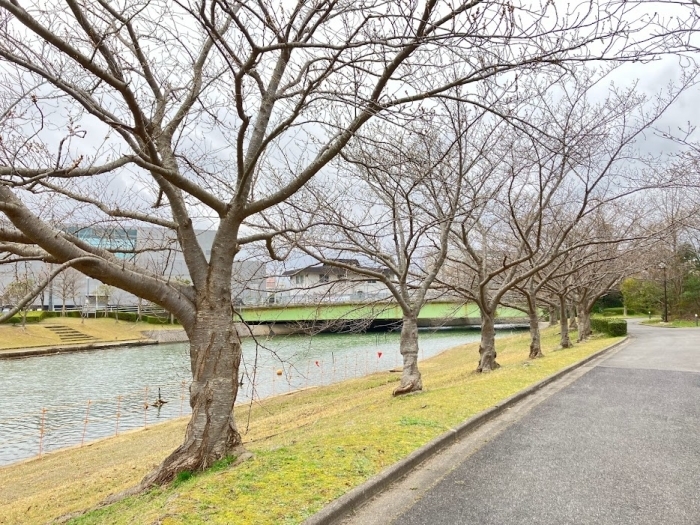 松江北公園