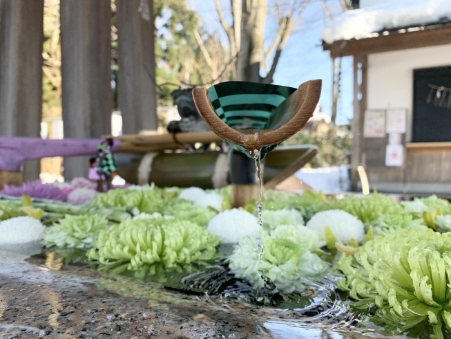 「今しか見れない！金峯神社の「花手水（はなちょうず）」はこちら！！」