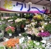 お花を買うならココ 船橋の花屋さん7選 船橋の暮らしを楽しくするお店まとめ まいぷれ 船橋市