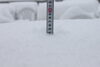 「昨晩から雪が降りました！」