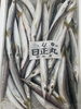 カマス「鮮魚入荷致しました」