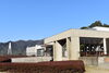 記念館外観「椿が開花し始めました！」