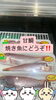 「鮮魚パックいろいろ販売中‼️〆鯖も販売致します🐳」