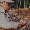 「創業９９期目【長岡京・京たけの子 小川】」