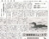 「【舞鶴市民新聞・発行案内】 6/8（火）第3515号」