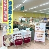 コープ桜づつみ店で店頭営業させていただきました‼️「✨ ✨家族葬 ラビュー三島北 オープン２周年です✨ ✨」