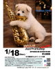 「赤パーの1月イベント情報をご紹介します📣」
