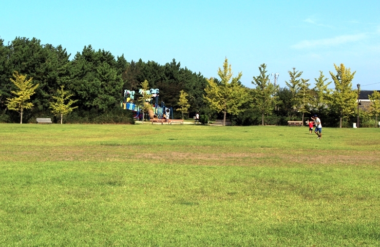 山の下海浜公園 新潟市の公園特集 まいぷれ 新潟市 山の下海浜公園 新潟市の公園特集 まいぷれ 新潟市