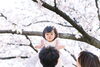「ソメイヨシノ撮影会のお知らせ【江戸川区でこども・ファミリーの出張撮影をしています】」