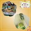 vegeマリコ　坂井市「ココカラオーガニックマルシェ2024【福井/坂井市/まつい整骨院/神経の整体/小波津式神経筋無痛療法/慢性腰痛/慢性膝痛/アトピー性皮膚炎/スポーツ整体(障害・外傷・パフォーマンスアップ)】」