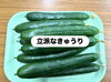 「今日の1枚📷」