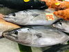 「魚魚市場鮮魚コーナーおすすめは「北海道産ホタテ」です♪」