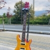 SE CUSTOM 24 VY