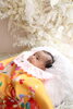 お子様が初めて写真館で撮影する瞬間「百日記念撮影★平日限定パパママ着物レンタル＆着付無料のご案内」