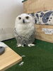 「GW営業日のお知らせです」