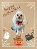 「Dog salon mofu mofu　余市町」