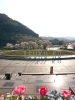 津久井湖城山公園　水の園地