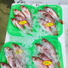 「魚魚市場鮮魚コーナーおすすめは「クロ・ノドグロ」です♪」
