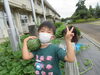 力持ち～☆「待ちに待ったスイカと野菜の収穫！！」