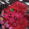 インパクトのあるお花は奥さまへの贈りもの「花束花束花束…」