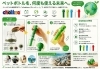 エコで美味しい毎日をペットボトルとお茶で「ペットボトルで手軽にお茶を！エコで美味しい毎日をペットボトルとお茶で」