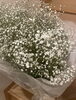 「かすみ草の花束のボトルフラワーです♡【宮崎/ボトルフラワー/ドライフラワー/アフターブーケ】」