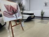 芸術的な空間で愛車に出会う「アートと観葉植物に囲まれた屋内ショールームでクルマ選び」