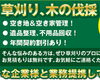 「草木のお困りごとに即日対応！即日の無料見積もりも受付中です」