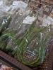 新鮮無農薬十六ささげ「新鮮無農薬野菜が激安です‼️」