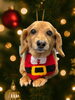 「Dog salon mofu mofu　余市町」