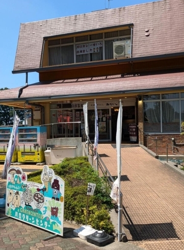 「暑い日にピッタリ！冷たいうどんありますよ♪【グリーンセンター　新井商店】」