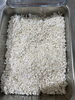 出来上がりをほぐしました❗️「自家製糀作り②」