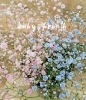 かすみ草(当店オリジナル)「ブルー　ブルー　ブルー」