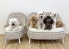 ぱん♡Ｇro♡理玖♡リリー♡じろう♡ハッピー「ましゅまろ幼稚園🐾　パート１」