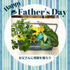 寄せ鉢＋ミニアレンジ「6月15日は父の日です！」