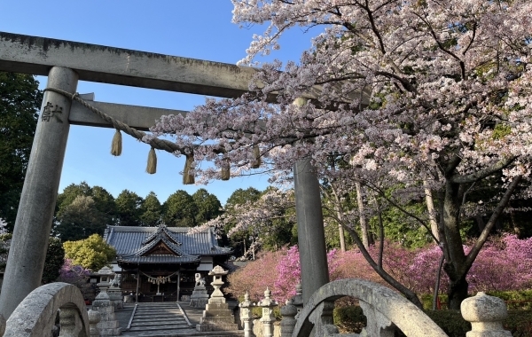 四日市市・桑名市周辺のお花見・桜スポット