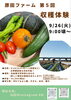 収穫体験「高校生5名受け入れました🧑‍🌾　9/26日もやります」