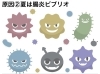 「牡蠣にあたる、とは？」