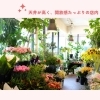 「Flower shop hanamo【トリコカワグチ掲載店のご紹介】」
