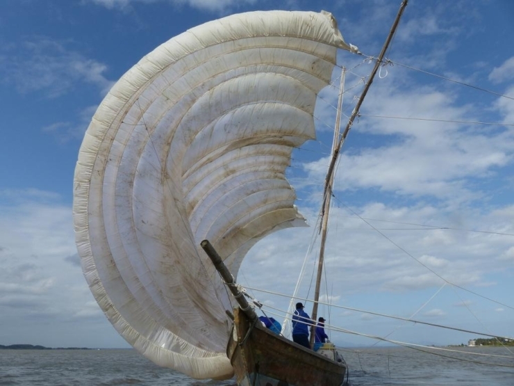 昭和40年前半頃まで行われてた帆引き網漁。風力を利用し網を引く漁法です。※現在は、教育・観光を目的として特別採捕許可により操業されています。<br>
