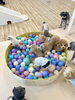 みんな大好き宝探し😃「ましゅまろ幼稚園🐾」