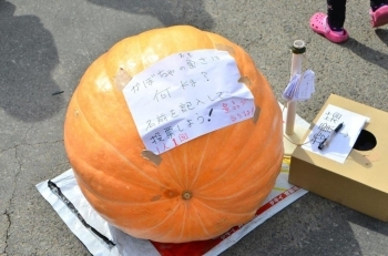 がぼちゃの重さは何Ｋｇでしょう？
