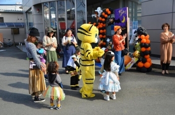 トラが大人気！