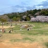 合言葉は「Be Wild.」。四季の郷公園FOOD HUNTER PARK「野生を楽しむ」道の駅！
