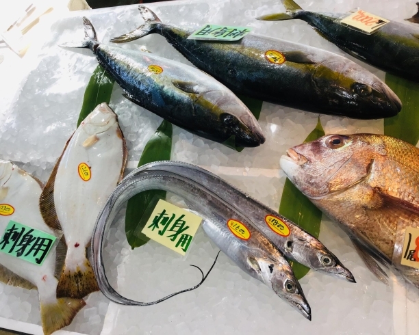 「西海物産館 魚魚市場鮮魚コーナーおすすめ商品は「牡蠣の特売明日迄！」」