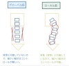 背骨に直接付いているのがローカル筋(インナー)です「一体何の筋肉だぁ? 「ローカル筋」と「グローバル筋」」
