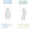 背骨に直接付いているのがローカル筋（インナー）です「一体何の筋肉だぁ？　　　　　　　　　　　　　　「ローカル筋」と「グローバル筋」」