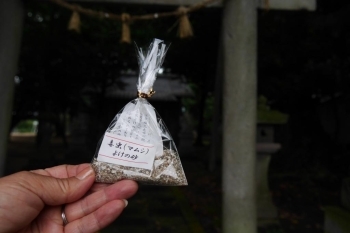 唐王神社の「毒虫（マムシ）よけの砂」