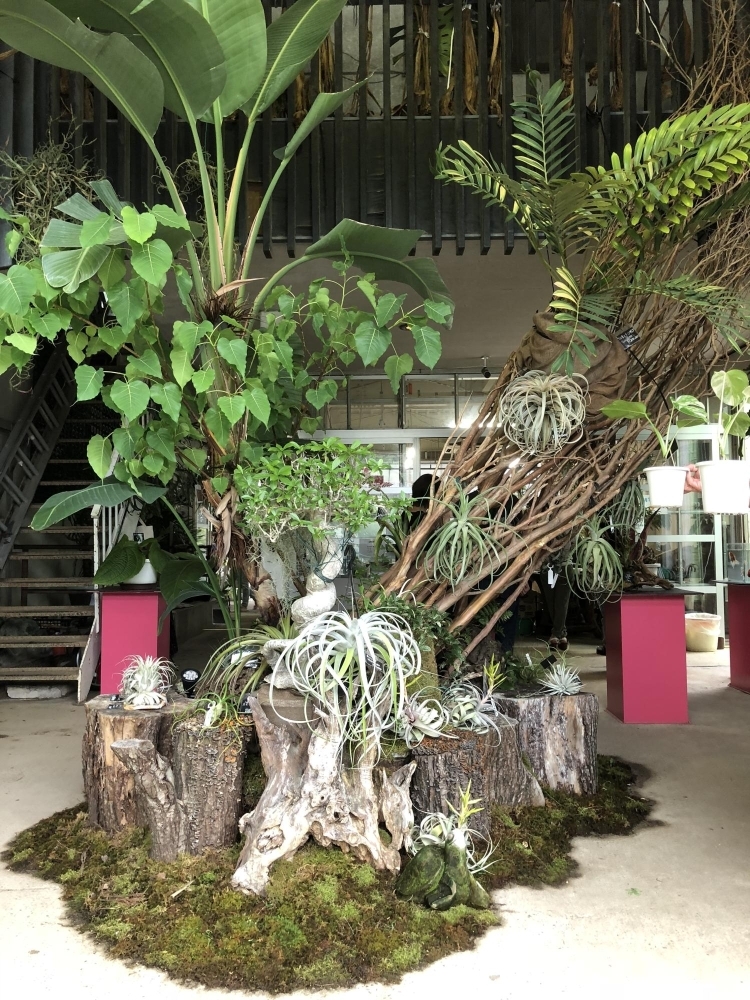 植物好きなら誰もが知る 植木の老舗卸問屋 花宇宙 さん かわいいなさんの空中散歩 まいぷれ 川西 猪名川